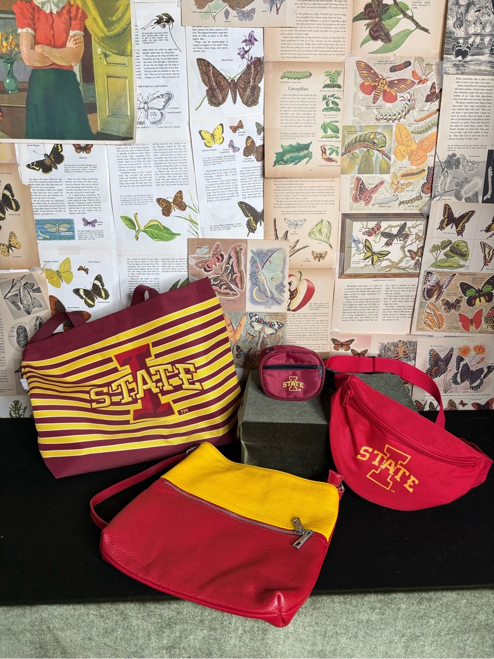 Iowa state Red and Yellow Assorted Bag Set